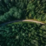 Aerial view of a winding road surrounded by dense green forest