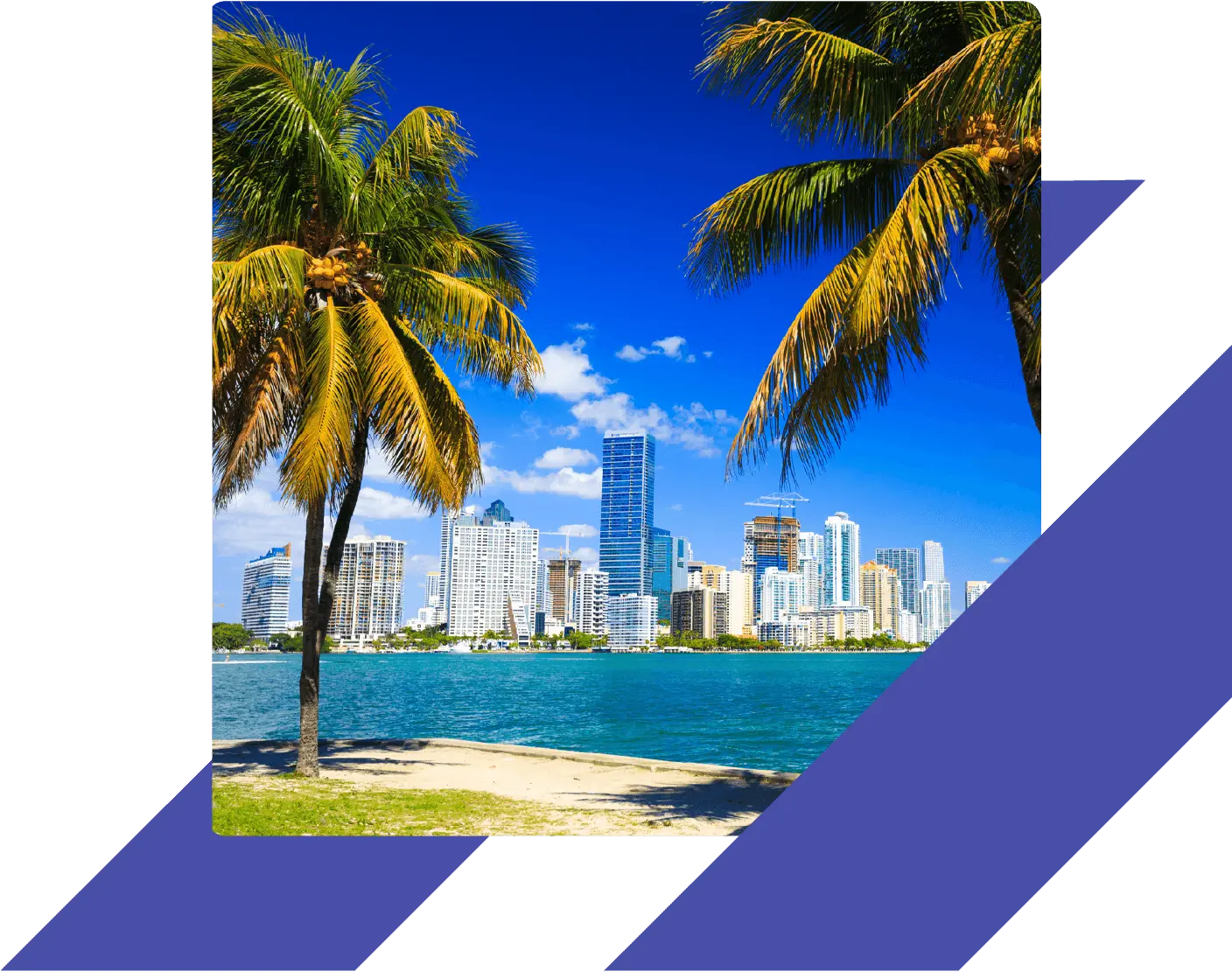 Miami skyline with palm trees and waterfront view