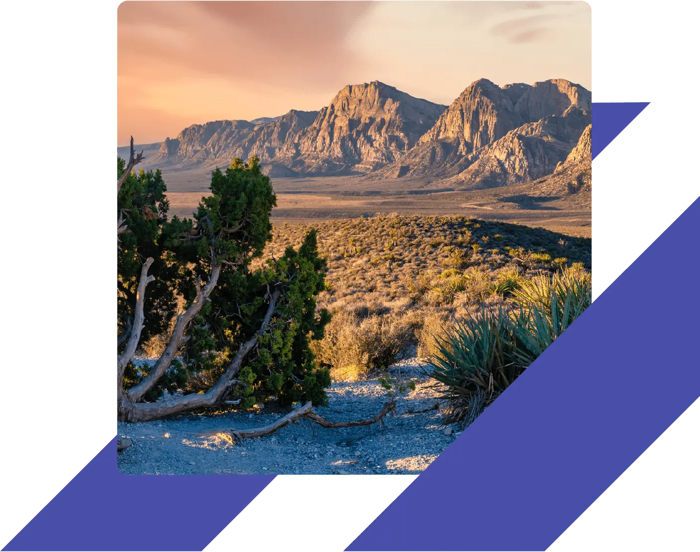 Desert landscape with rocky terrain, desert plants, and red sandstone cliffs at Red Rock Canyon near Las Vegas, Nevada, during sunset.