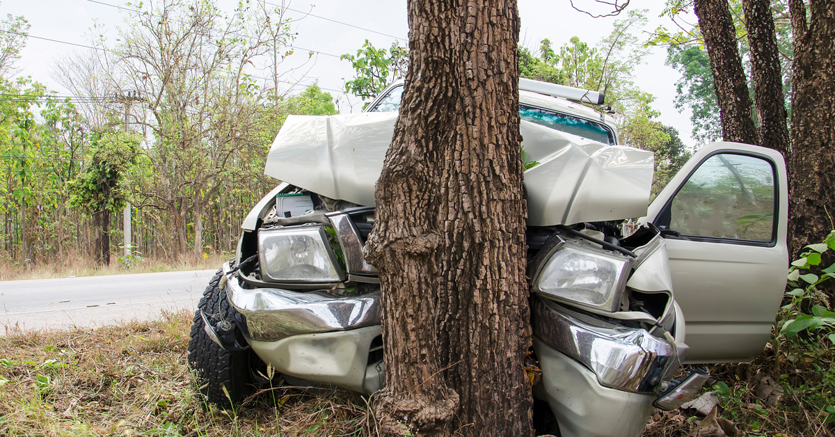 A car crashed into a tree, likely showing the aftermath of a DUI-related accident in one of the most dangerous states for drunk driving.